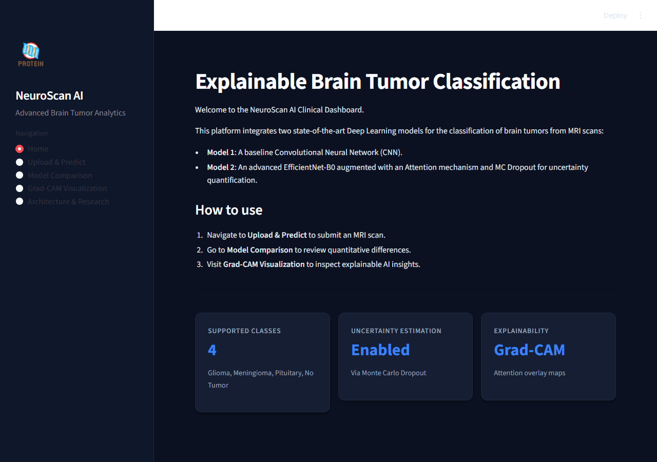 Brain Tumor AI home interface